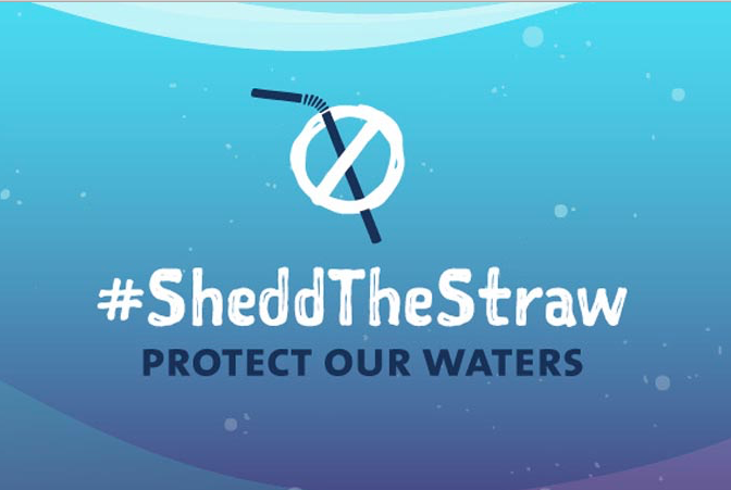 Shedd the Straw update
