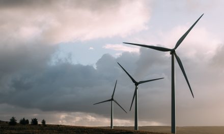 Renewable Electricity Use in Illinois