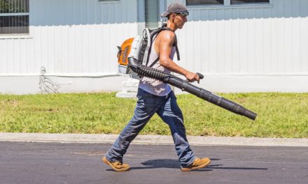 Immediate Action Needed on Gas-Powered Leaf Blowers