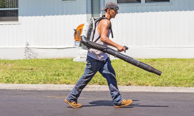 Immediate Action Needed on Gas-Powered Leaf Blowers