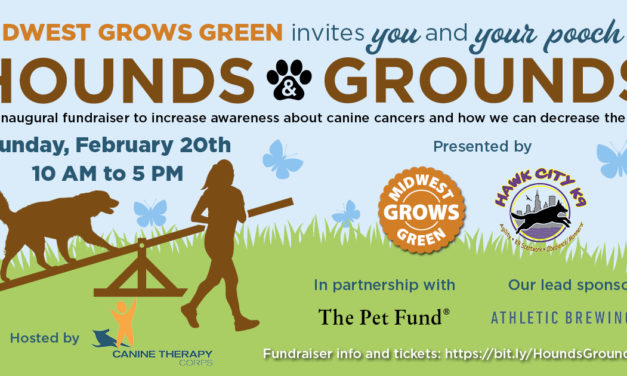 Hounds & Grounds Canine Cancer Awareness Fundraiser