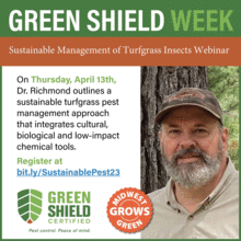 Sustainable Management of Turfgrass Insects
