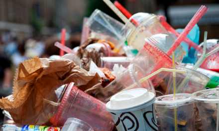 Want to Bring a Plastics Reduction Ordinance to your Village? An example from Colorado