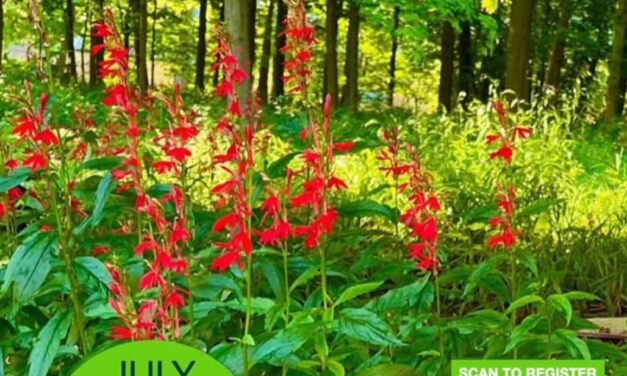 2025 Highland Park Native Plant Garden Tour