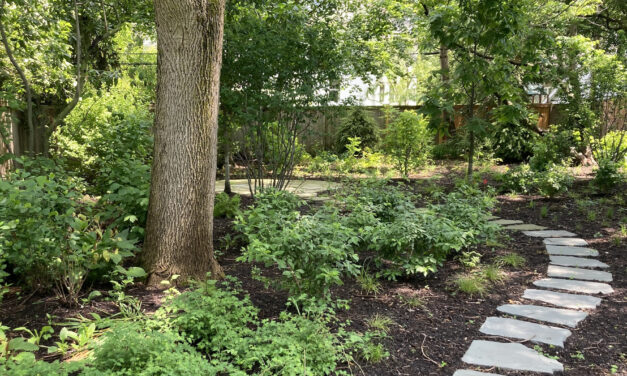 Winnetka Yards That Work Sustainable Yard Tour