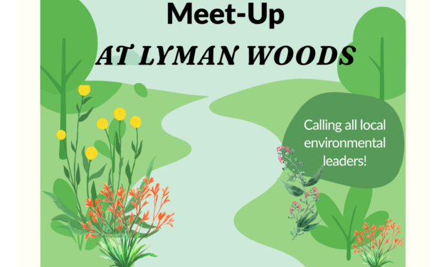 Meet other Go Green People in a Very-Green Place