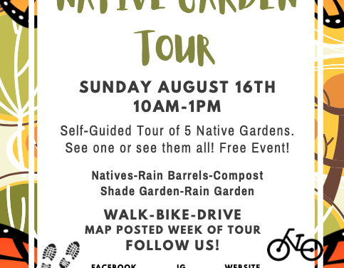 Mount Prospect Native Garden Tour
