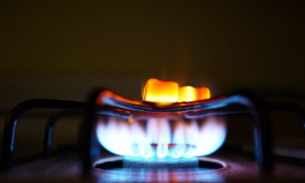 NY Gas Appliance Ban Upheld